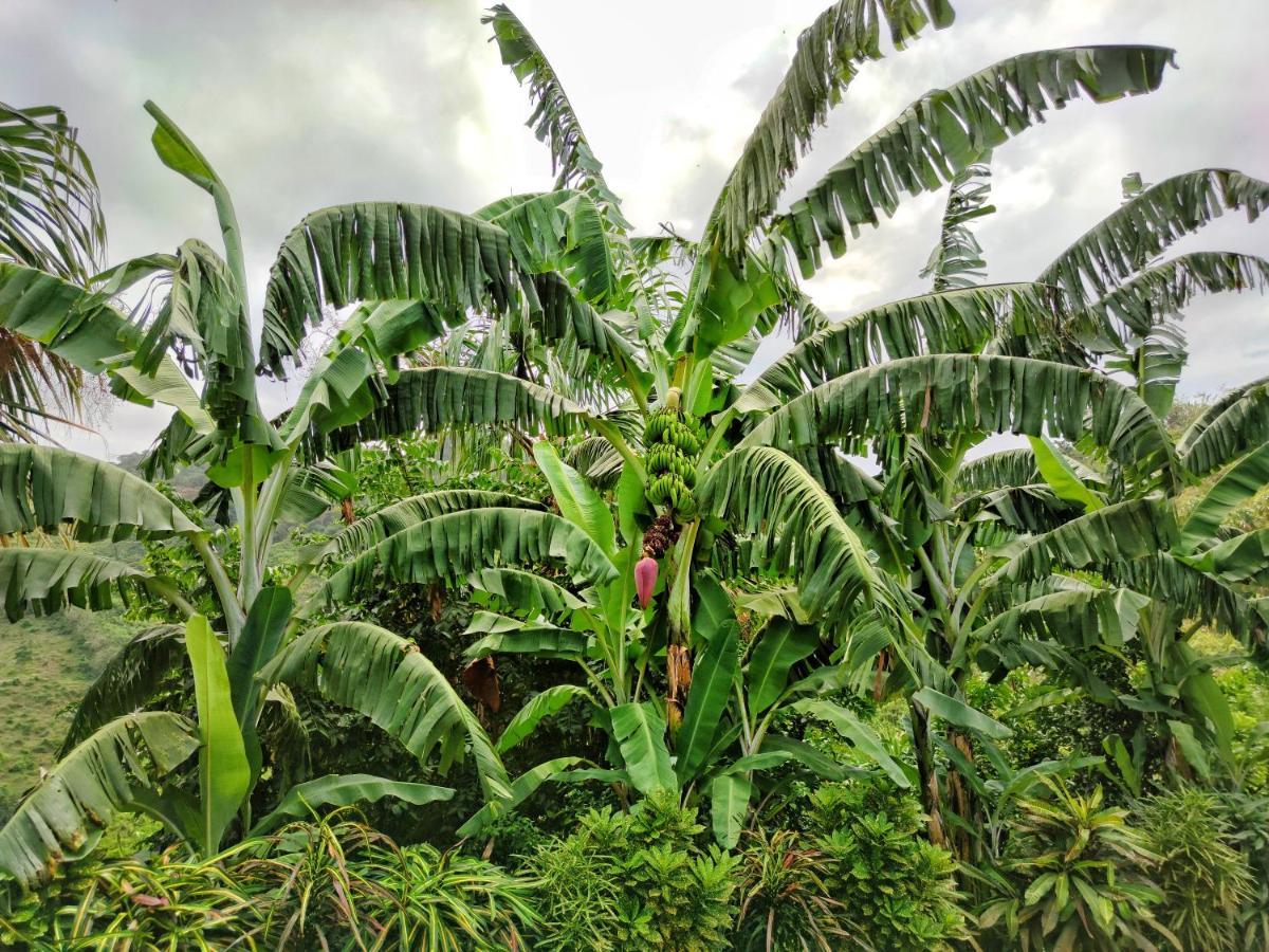 Finca Cuipo ブリタカ エクステリア 写真
